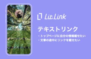 lit.linkのテキストリンクの意外な使い方！【それは思いつかなかった！】