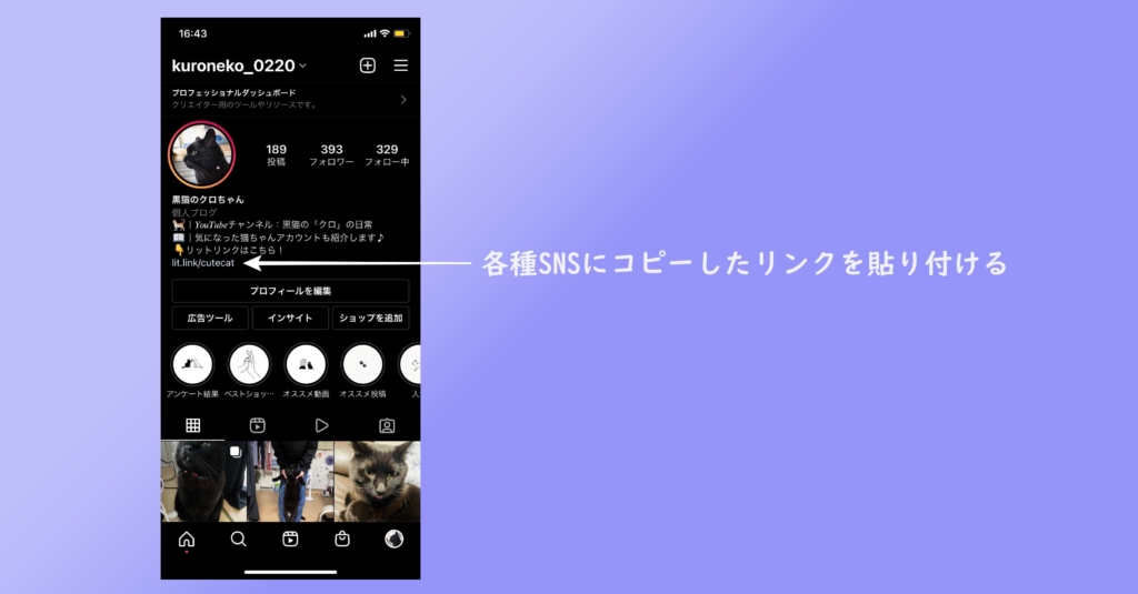 編集スイッチを戻し、リンクをコピーしてSNS等に貼り付けるの画像