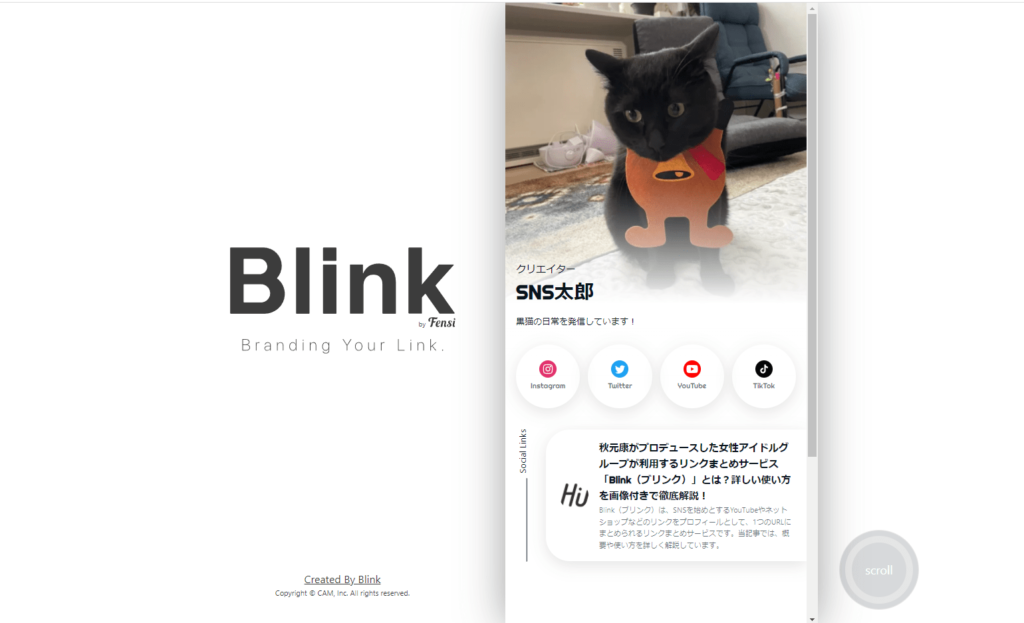 Blink（ブリンク）「マイプロフィールページ」の画像
